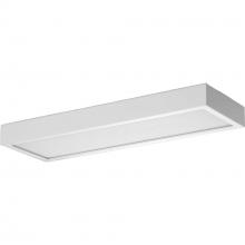 PROGRESS LIGHTING P300304-028-CS - Everlume LED 16-inch Satin White Modern Style Bath Vanity Wall or Ceiling Light with Selectable 3000