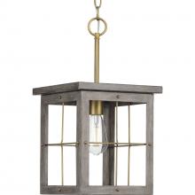 PROGRESS LIGHTING P500317-175 - Hedgerow Collection One-Light Distressed Brass and Aged Oak Farmhouse Style Hanging Mini-Pendant Lig