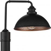 PROGRESS LIGHTING P540032-031 - Englewood Collection One-Light Post Lantern