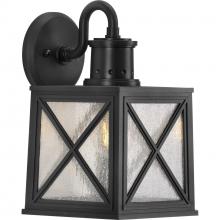 PROGRESS LIGHTING P560164-031 - Seagrove Collection One-Light Medium Wall Lantern with DURASHIELD