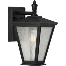 PROGRESS LIGHTING P560166-031 - Cardiff Collection One-Light Small Wall Lantern with DURASHIELD