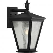 PROGRESS LIGHTING P560167-031 - Cardiff Collection One-Light Medium Wall Lantern with DURASHIELD