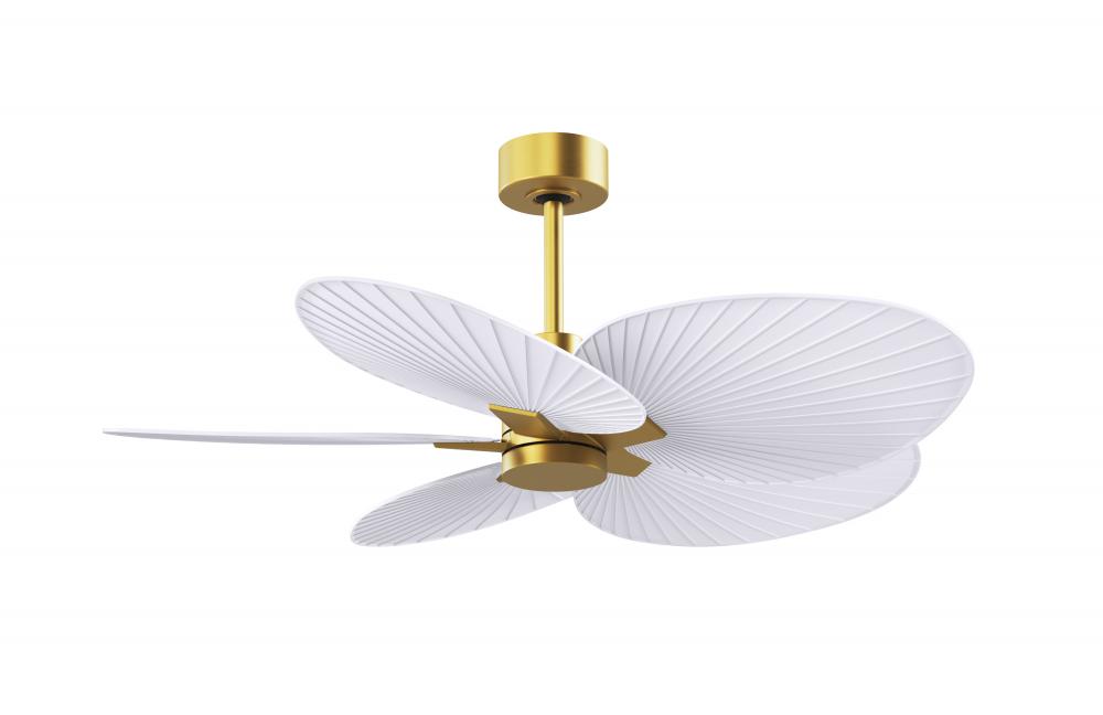 Alessandra Tropical 5-blade ceiling fan in Brushed Brass and Matte White blades.