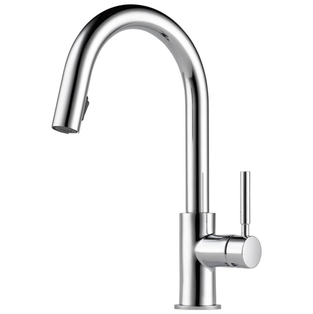 Solna® Single Handle Pull-Down Kitchen Faucet