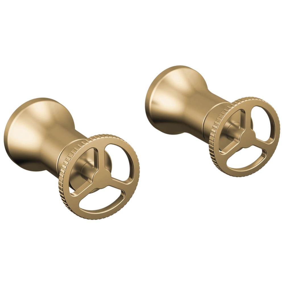Trinsic® Wheel Handle - Wall Mount Lav