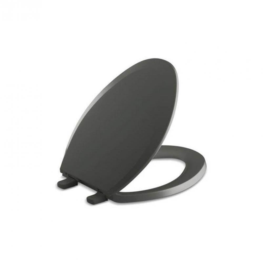 Lustra™ Quick-Release™ elongated toilet seat
