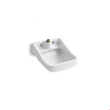 Laundry And Utility Sinks