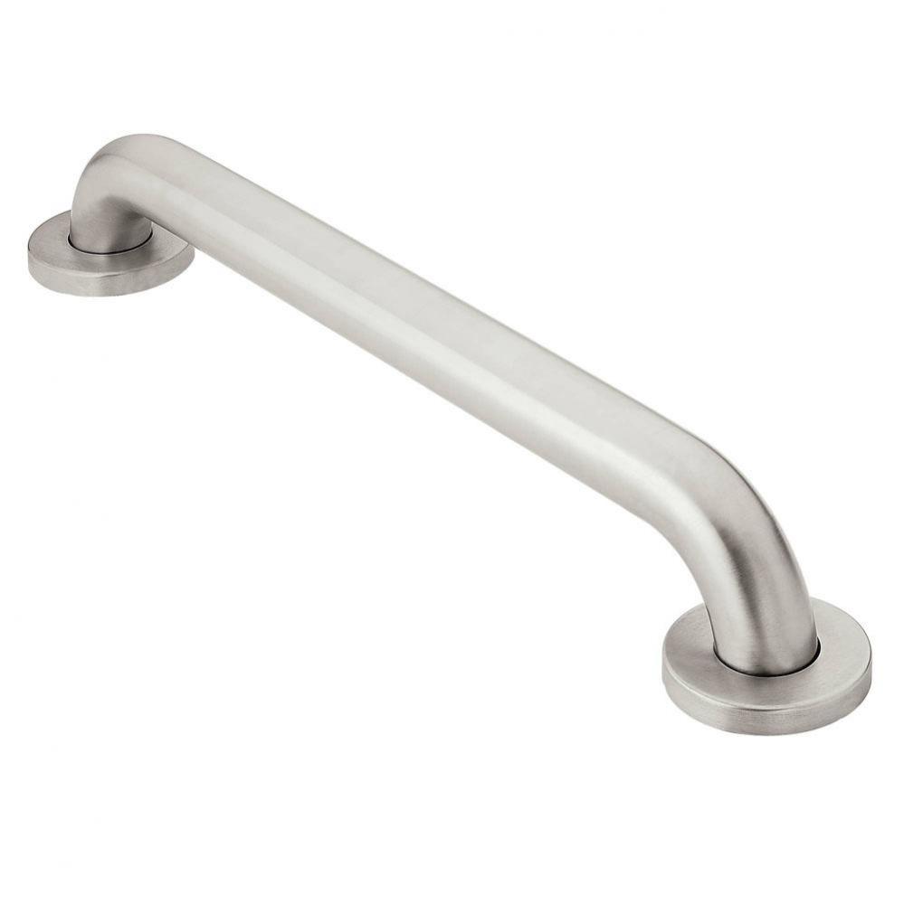 Stainless 12'' Concealed Screw Grab Bar