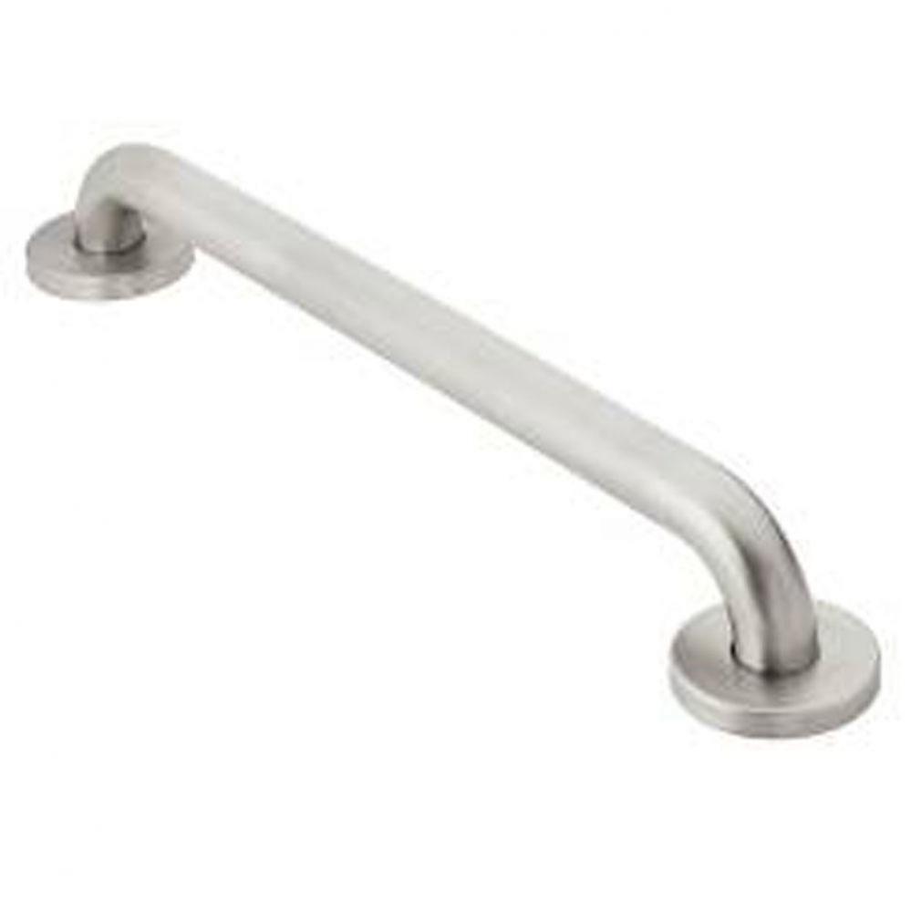 Peened 42'' Concealed Screw Grab Bar