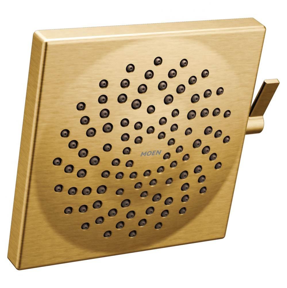 Two-Function 8-1/2'' Rainshower Spray Head, Brushed Gold