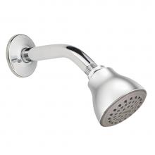 Moen 6304 - Chrome one-function 2-1/2'' diameter spray head standard