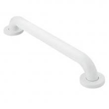 Moen R8932W - Glacier 32'' Concealed Screw Grab Bar