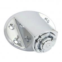 Moen 8290EP15 - Chrome showerhead