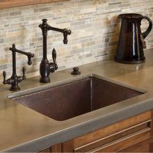 Native Trails CPK279 - Cocina 24 Kitchen SInk in Antique Copper