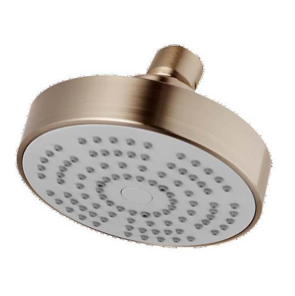 Decorative Showerhead