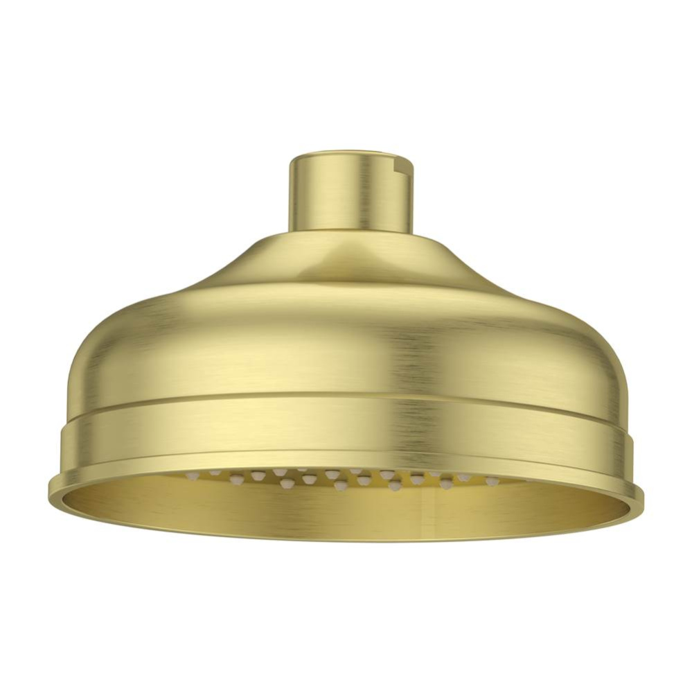 Tisbury Raincan Showerhead in Brushed Gold