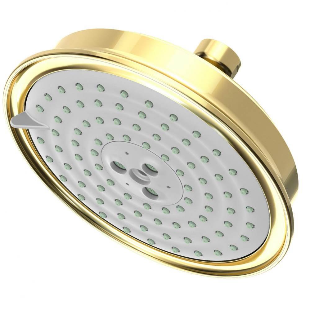 Multifunction Showerhead