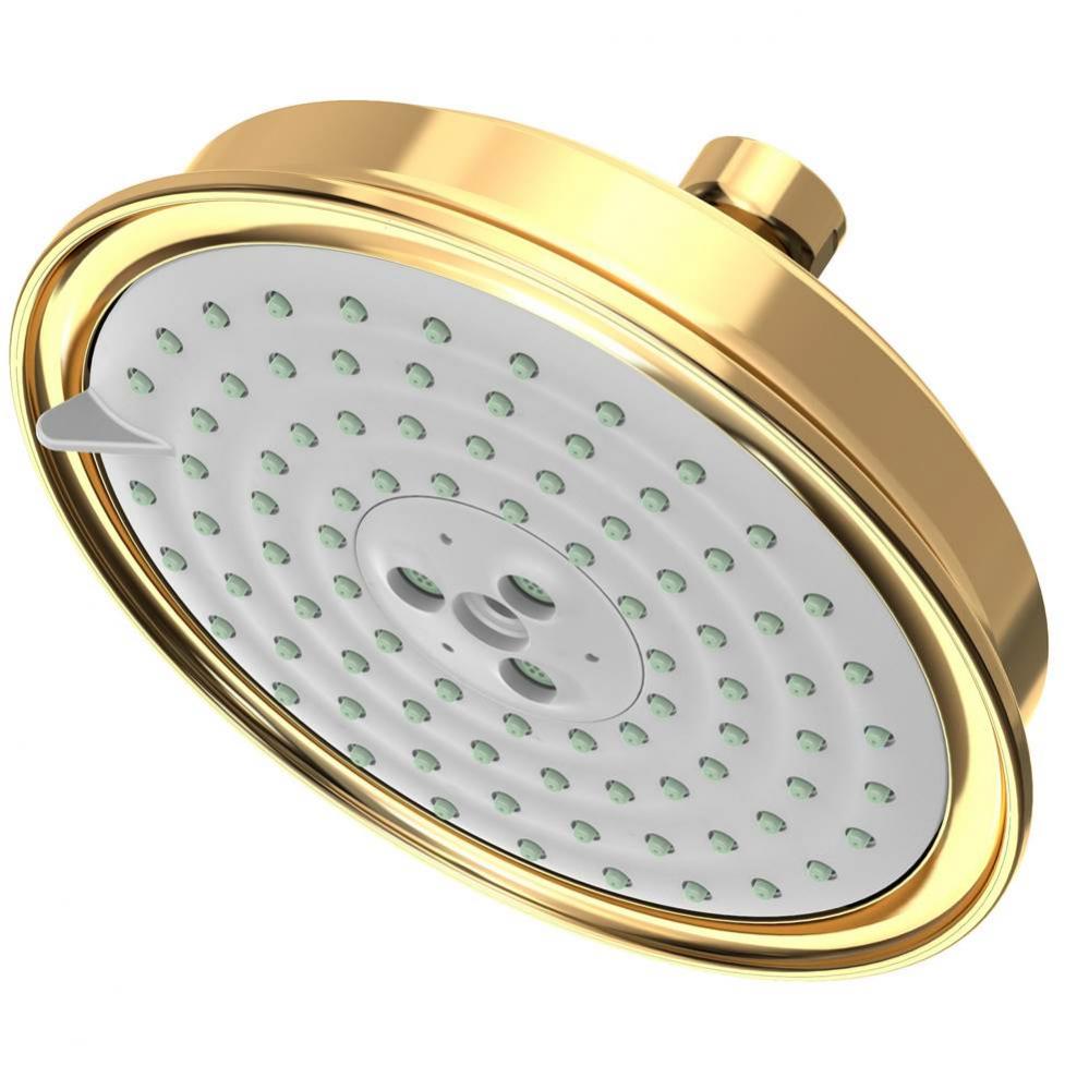 Multifunction Showerhead