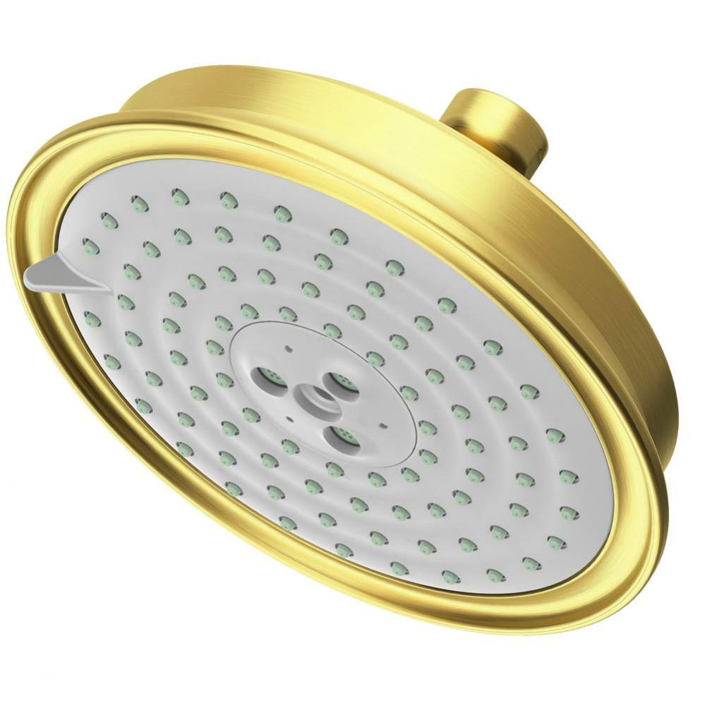 Multifunction Showerhead