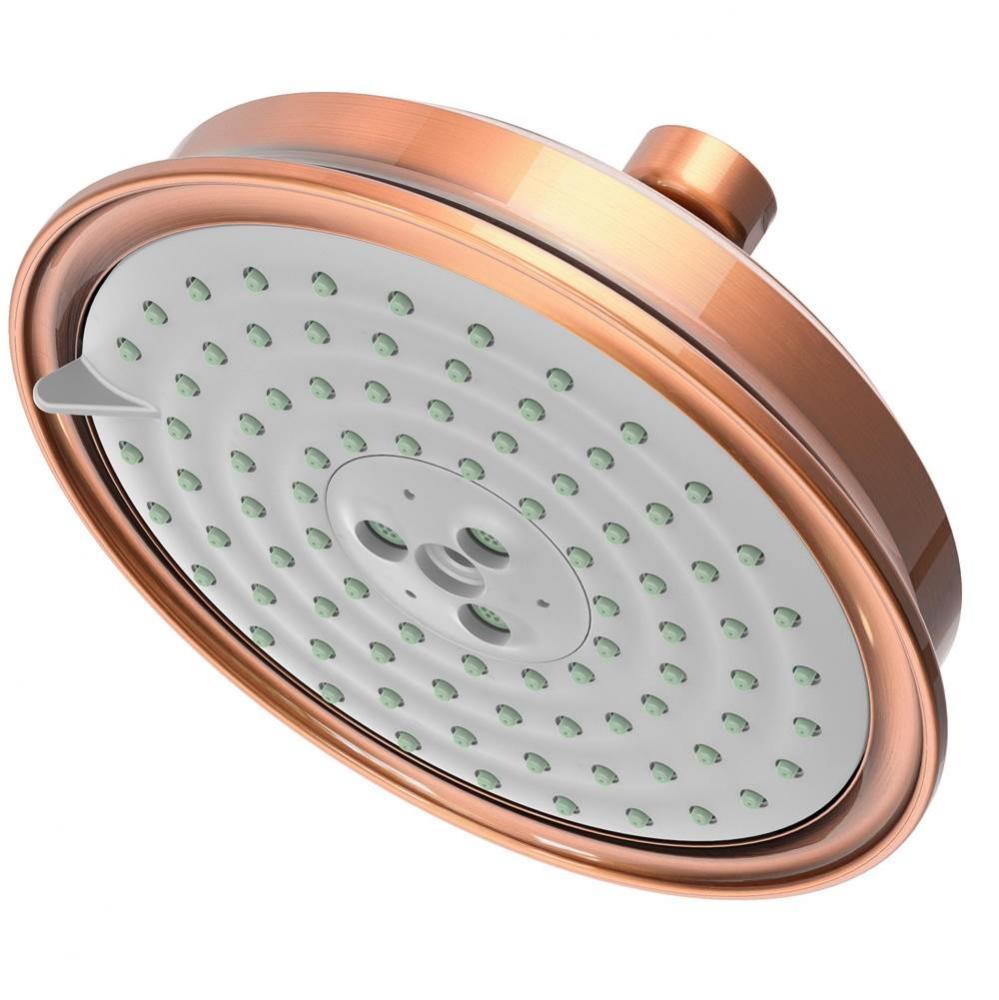 Multifunction Showerhead
