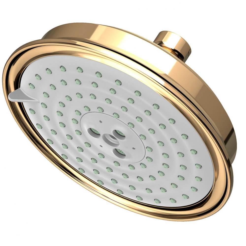 Multifunction Showerhead