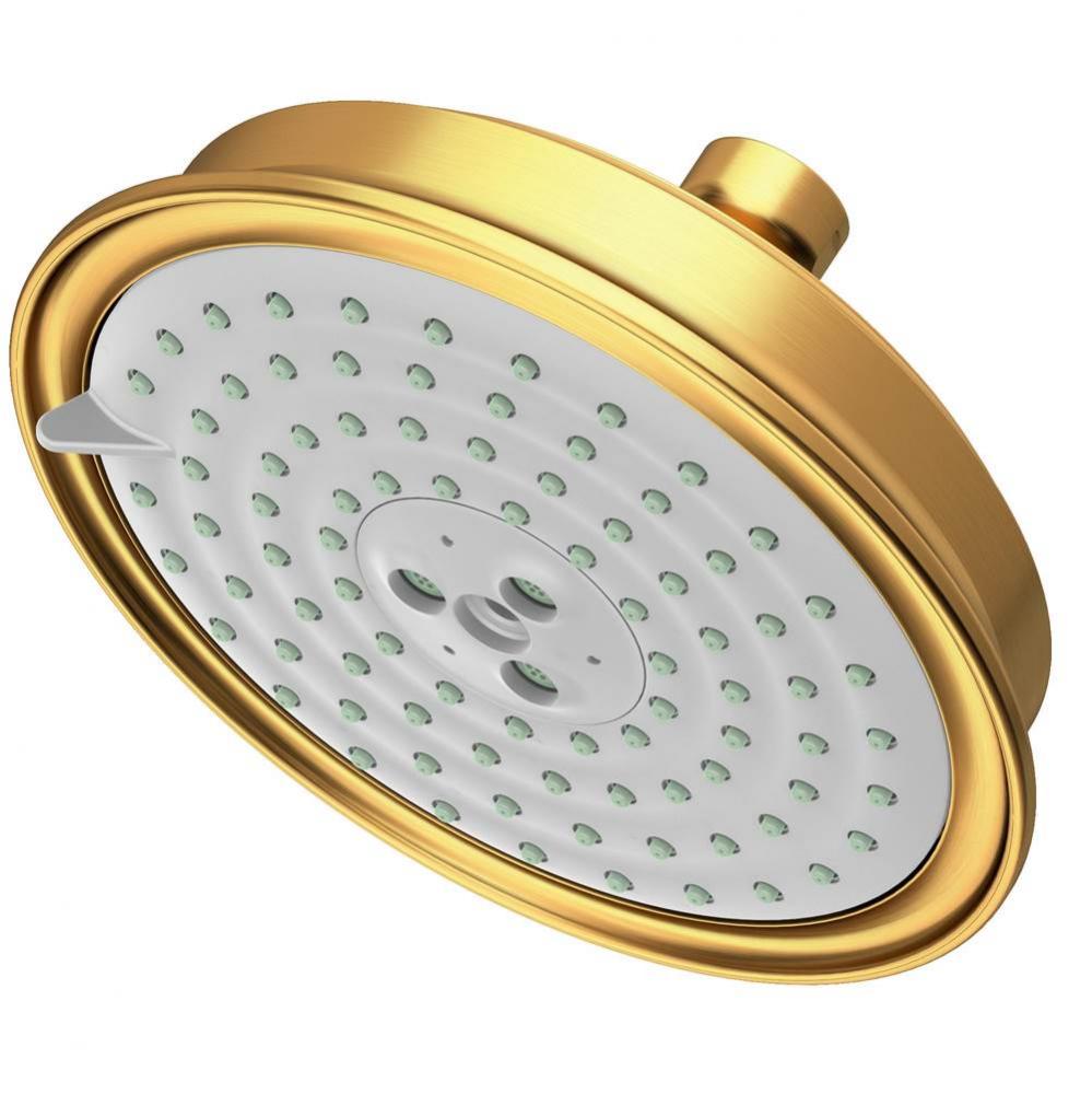 Multifunction Showerhead