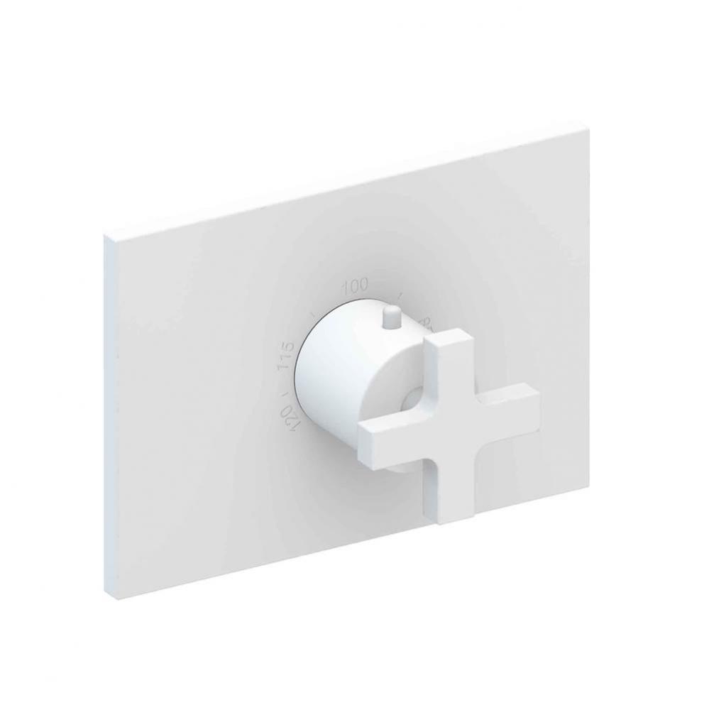 Secant 3/4'' Rectangular Thermostatic Trim Plate with Handle