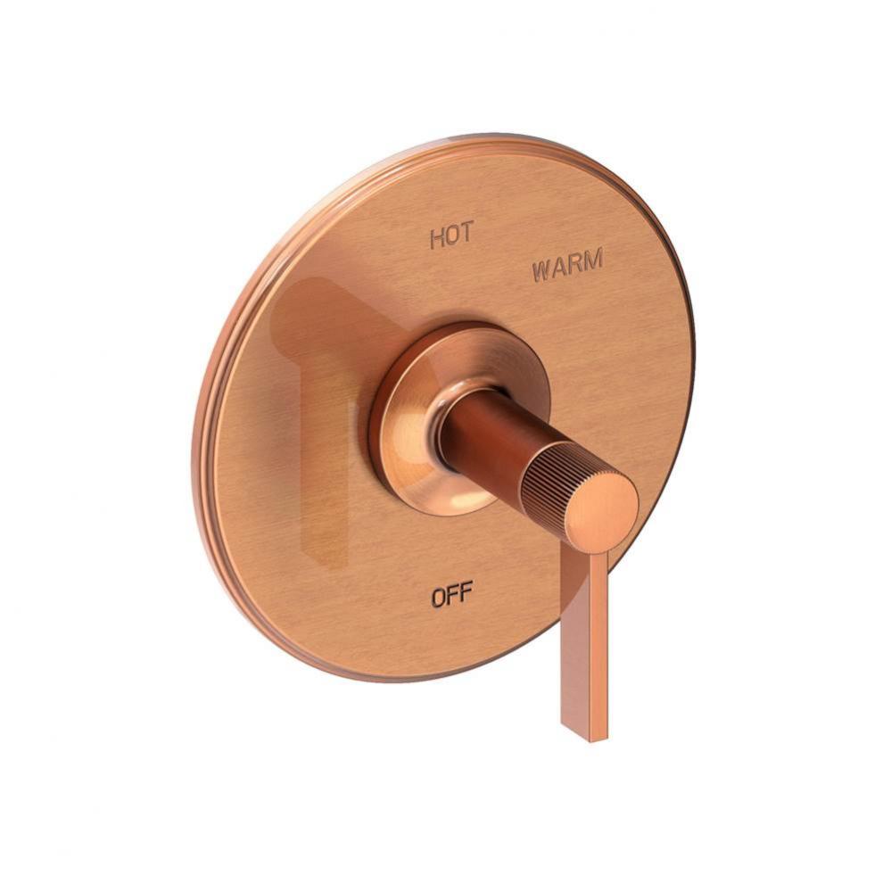 Pardees Balanced Pressure Shower Trim Plate with Handle. Less showerhead, arm and flange.