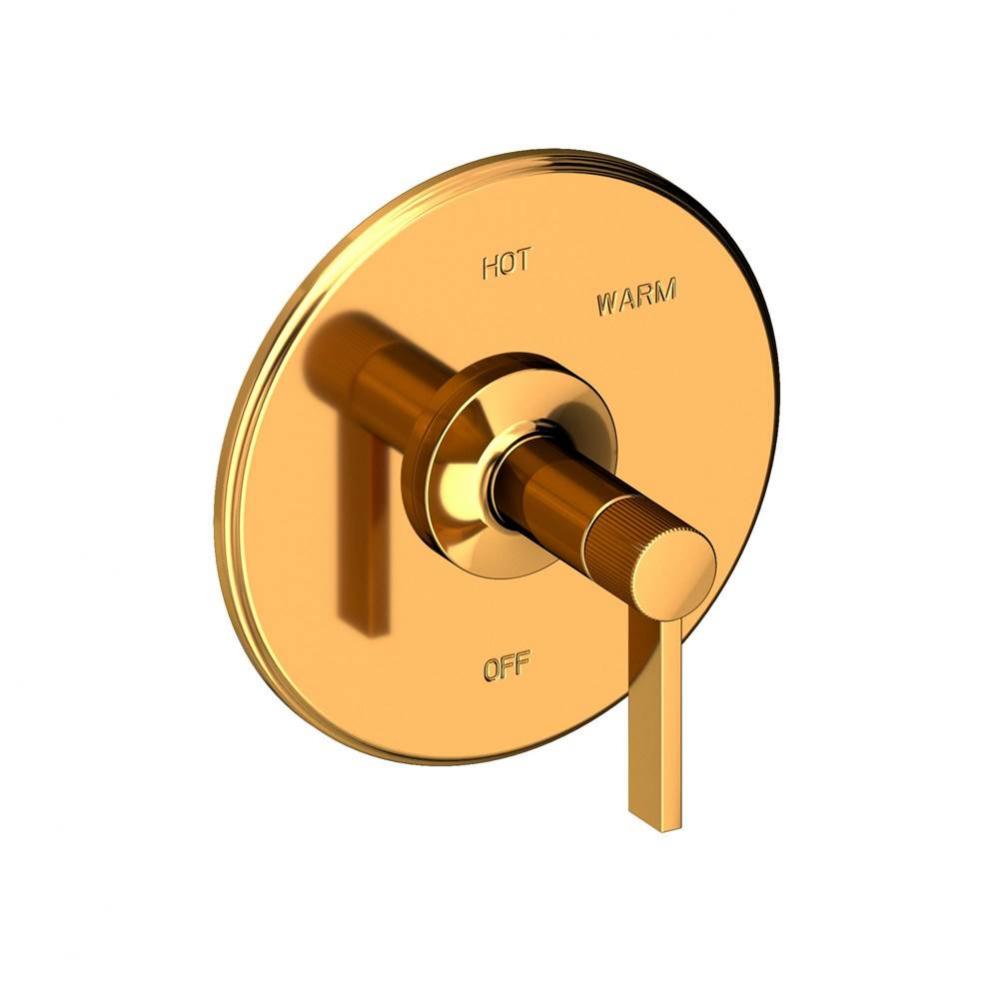 Pardees Balanced Pressure Shower Trim Plate with Handle. Less showerhead, arm and flange.