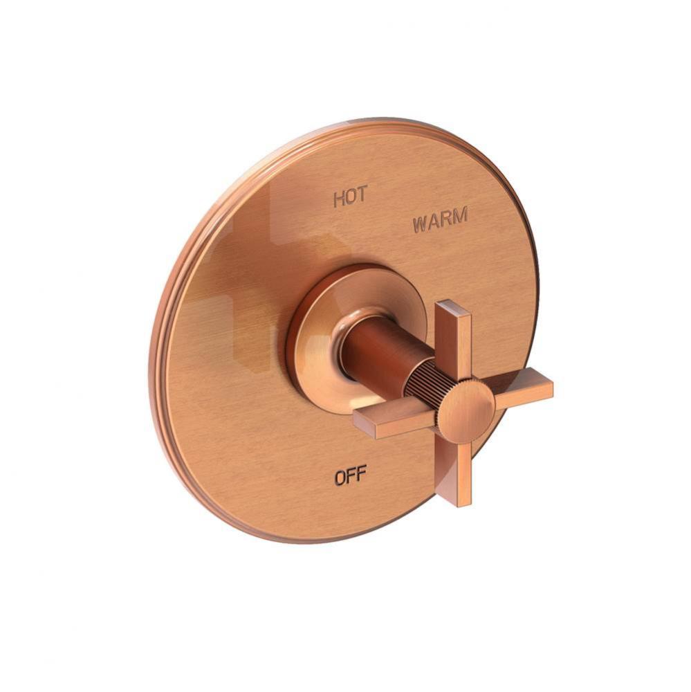 Pardees Balanced Pressure Shower Trim Plate with Handle. Less showerhead, arm and flange.