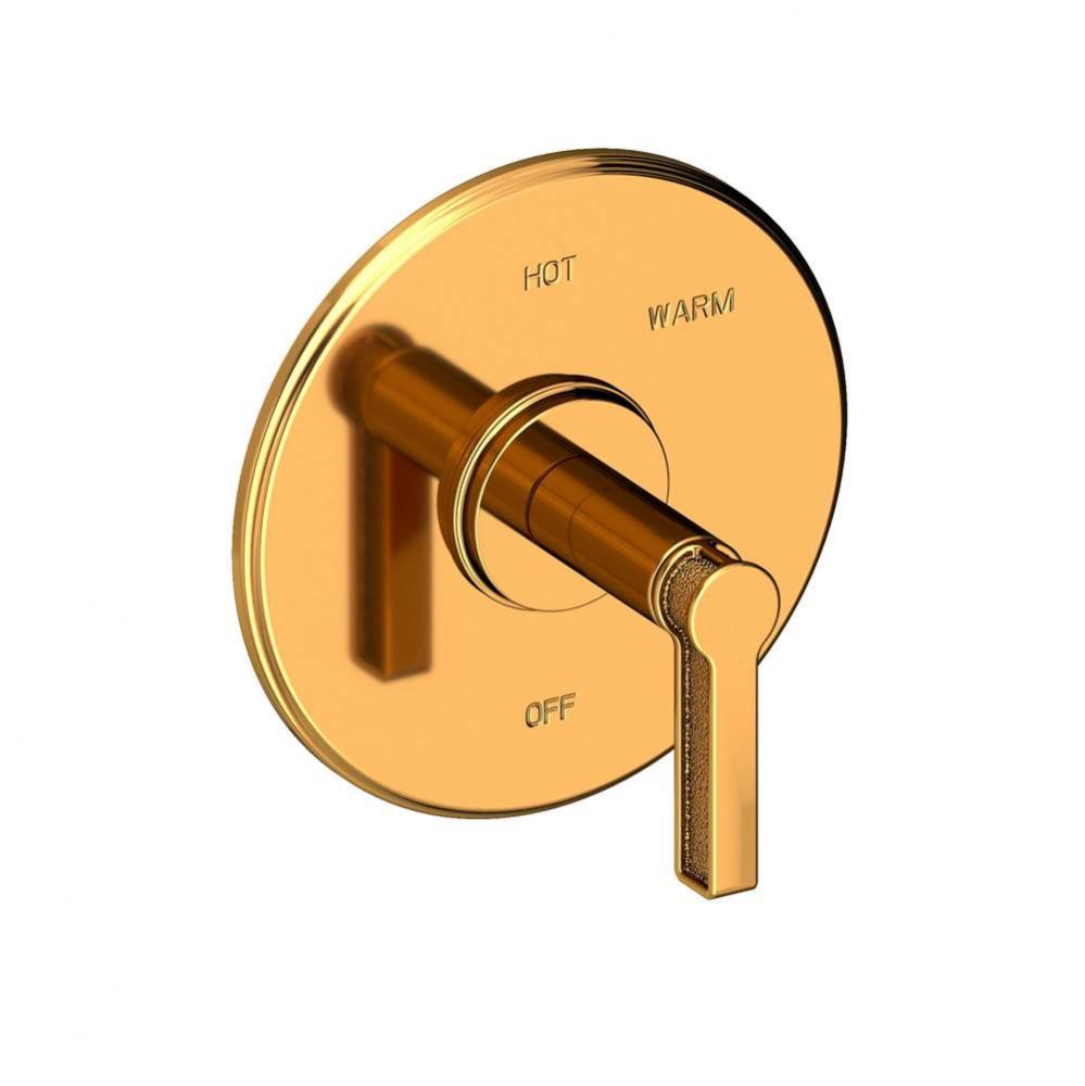 Griffey Balanced Pressure Shower Trim Plate with Handle. Less showerhead, arm and flange.