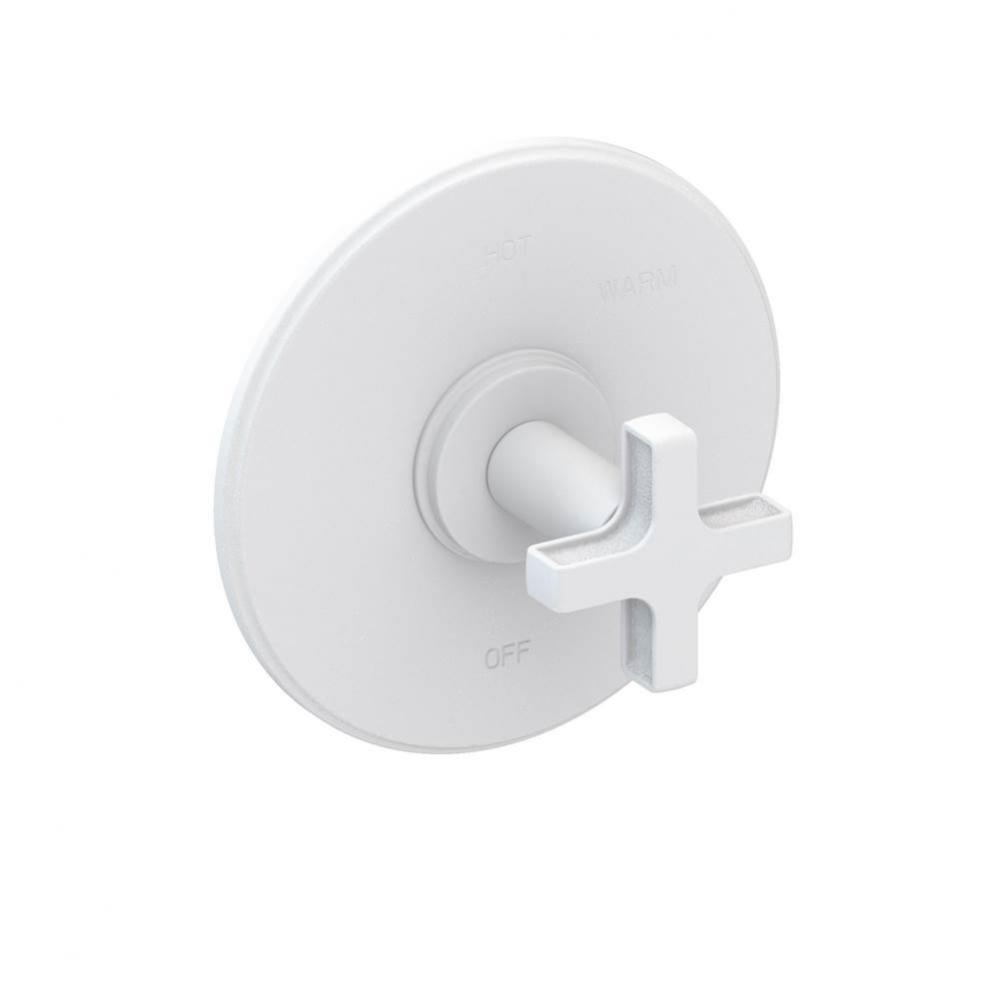Griffey Balanced Pressure Shower Trim Plate with Handle. Less showerhead, arm and flange.
