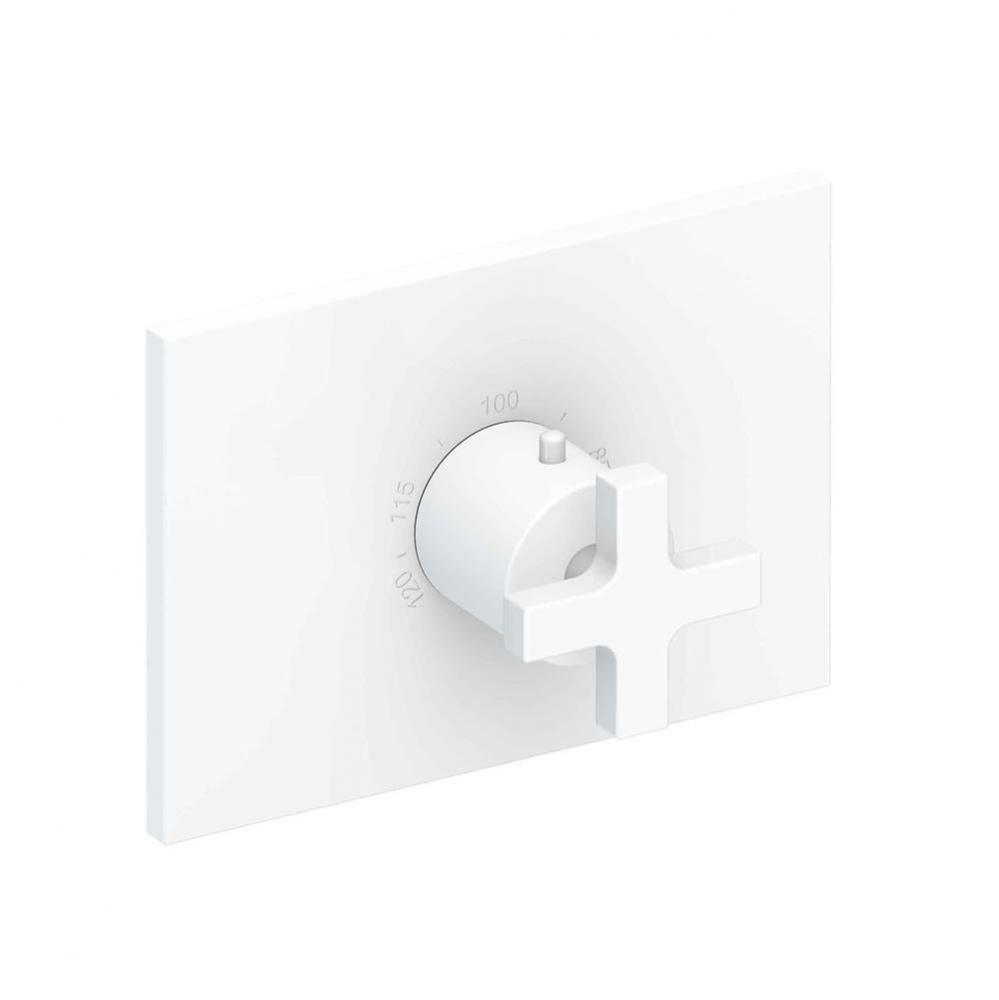Secant 3/4'' Rectangular Thermostatic Trim Plate with Handle