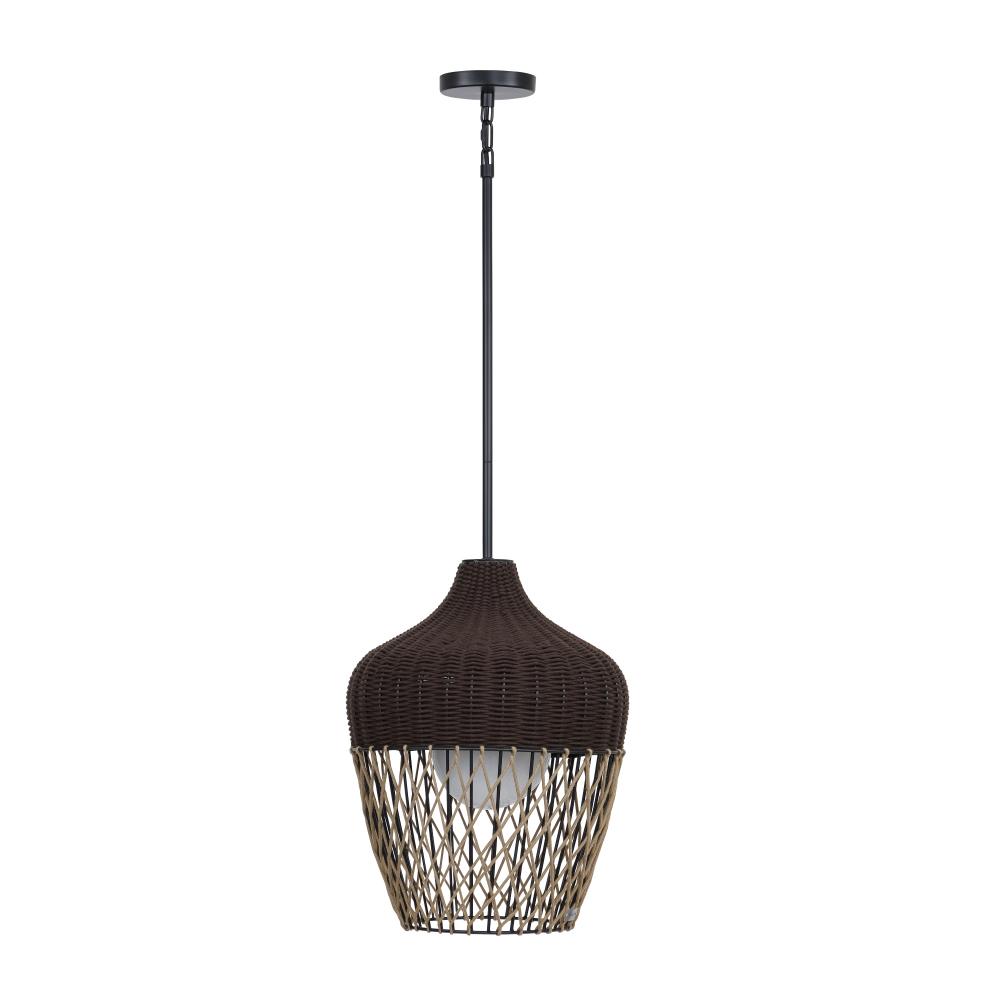 Hannha 1 Light Outdoor Pendant in Brown