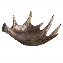 MOOSE ANTLER